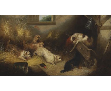 Edward Armfield (1817-1896) Terriers playing in a barnsigned 'E. Armfield' l.r., oil on canvas50 x 90cmCondition ReportOveral