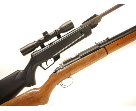 Two air rifles, to include a Gamo Cadet .177 break barrel air rifle serial number 04-1C-059667-96, fitted with Gamo 4x32 scop