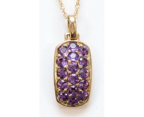 A 9ct gold purple gemstone pendant with a 9ct gold chain, 3.3g