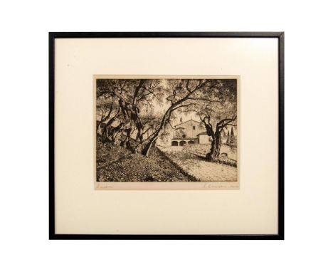 Title: S. Damiano Assisi. Black ink etching on laid paper depicting a shadowy olive tree grove with the San Damiano Monastery