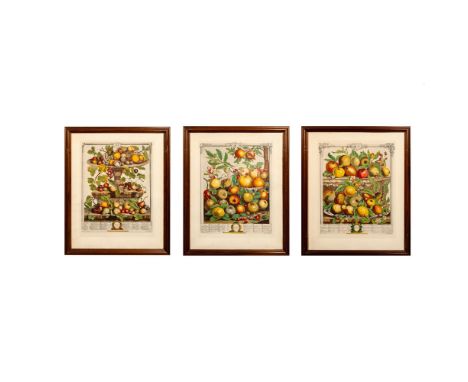 Title: Twelve Months of Fruit. Includes May, June, and July. Each month in this series illustrates the fruits that ripen with