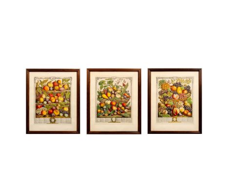 Title: Twelve Months of Fruit. Includes July, August, and October. Each month in this series illustrates the fruits that ripe