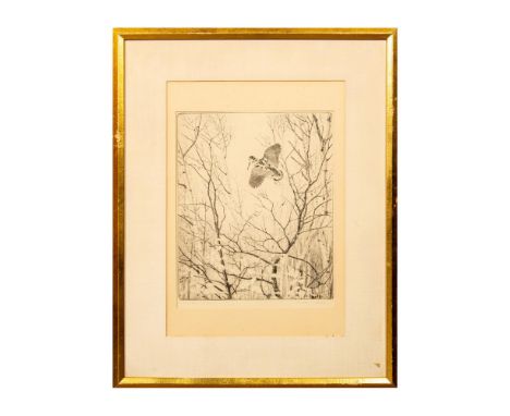 Title: Woodland Retreat. Framed dry point etching on paper depicting a woodcock midflight framed by leafless branches. Signed