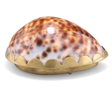 A 19TH CENTURY BRASS-MOUNTED COWRIE SHELL SNUFF BOX, the polished shell mounted with a scallop edge, with a plain hinged cove