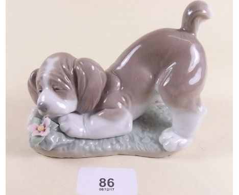 A Lladro figure of a dog - boxed 'A Sweet Smell'