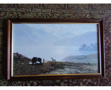 After Coulson print of a Sheepdog, framed and glazed 54cm x 85cm approx&nbsp;