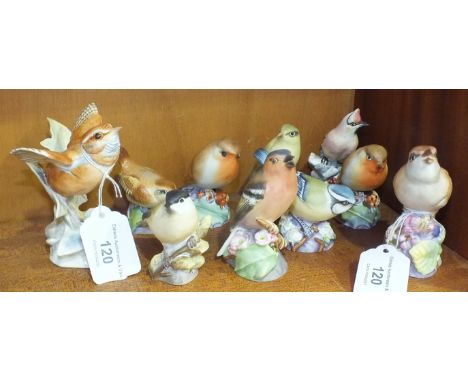 A collection of ten Royal Worcester bird sculptures: 'Fledgling Wren', 'Robin' x2, 'Wood Warbler', 'Nightingale', 'Wren' (a/f