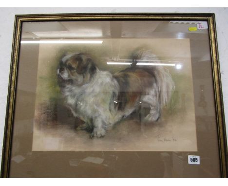 PAM HOOIN signed pastel dated 1983, "Portrait of Pekinese Dog", 32cm x 45cm 