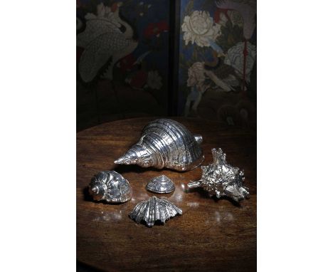 FIVE SILVER MOUNTED SHELLS IN THE MANNER OF FEDERICO BUCELLATI, 20TH CENTURYone marked with various numbers and 'AG' (5)25.8c