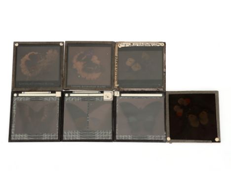 A Collection of Lumiere Autochrome Magic Lantern Slides, Magic Lantern and Slides, 3¼in. sq. slides - with some marked 'Lumie