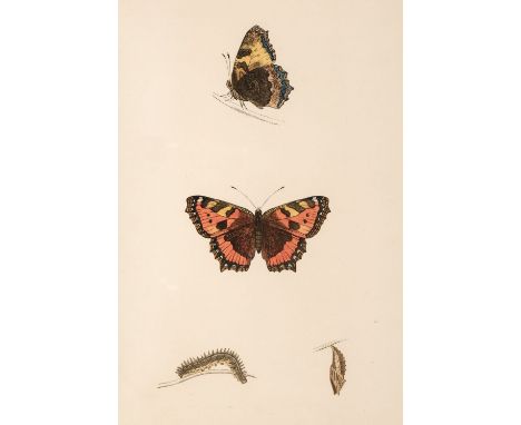 Morris (Francis Orpen). A History of British Butterflies..., London: Groombridge and Sons, 1865, approximately 71 plates (mos
