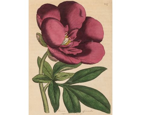 Woodville (William). Medical Botany, containing Systematic and General Descriptions, with plates, of all the Medicinal Plants