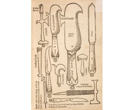 [Mascall, Leonard]. [A Booke of the Arte and Maner how to Plant and Graffe all sortes of Trees, how to set stones, and sowe P