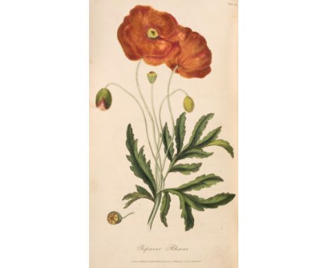 Medical Botany. Medical Botany: or, History of Plants in the Materia Medica, of the London, Edinburgh, and Dublin Pharmacopoe