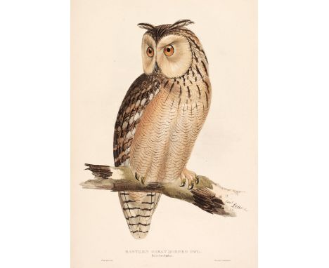 * Lear (Edward). Eastern Great Horned Owl [1832 - 37], lithograph with contemporary hand-colouring, originally published in '