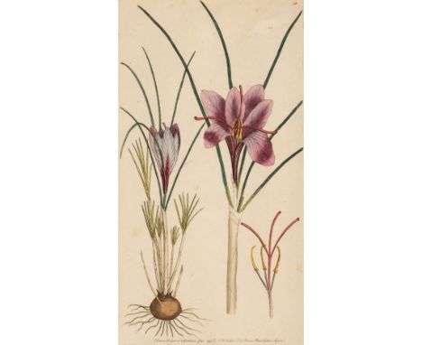 Martyn (Thomas). Flora Rustica: Exhibiting Accurate Figures of such Plants as are either Useful or Injurious in Husbandry, 4 
