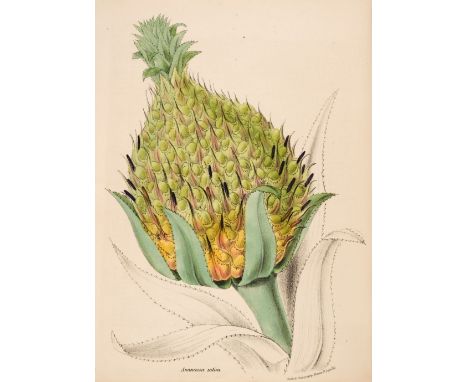 Burnett (Mary Ann). Plantae Utiliores; or Illustrations of Useful Plants, employed in the Arts and Medicine, volume 1 and 2 o