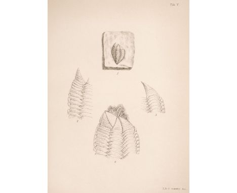 Darwin (Charles). A Monograph on the Fossil Lepadidae, or Pedunculated Cirripedes of Great Britain; A Monograph on the Fossil