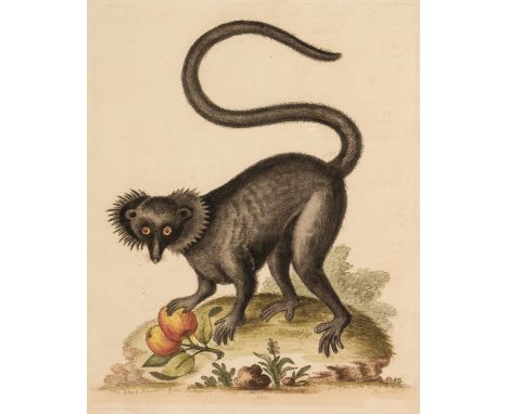 Edwards (George). Gleanings of Natural History, exhibiting figures of quadrupeds, birds, insects, plants, volume I only (of 3