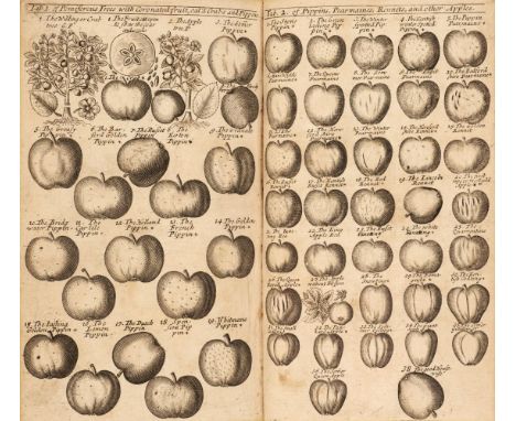 Newton (James). A Compleat Herbal of the Late James Newton, M. D. containing the Prints and the English Names of several thou