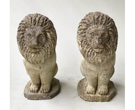 GARDEN/GATE LIONS, a pair, weathered reconstituted stone lions rampant on bases, 50cm H. (2) 