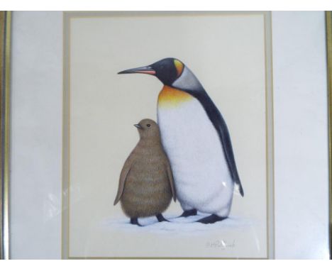 R H Petherick - a detailed study of a king penguin and chick signed lower right, mounted and framed under glass, image size a