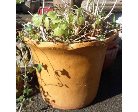 A large garden planter with mustard coloured glaze to exterior
