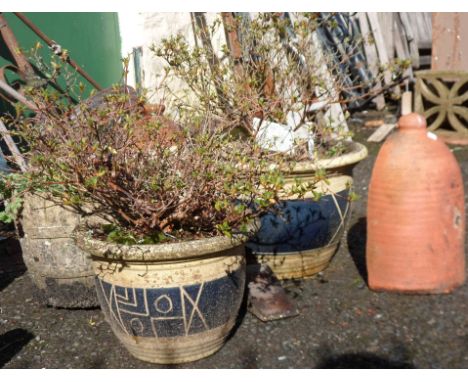 Two ceramic garden planters with blue glazed decoration - sold with a concrete barrel form garden planter, etc.