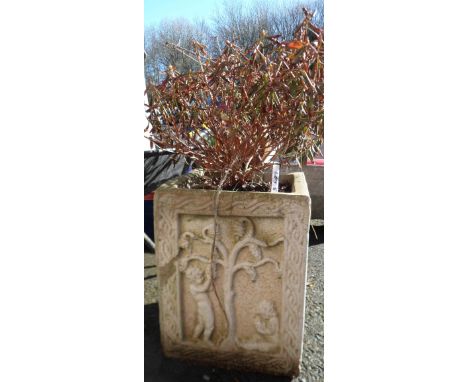 A concrete garden planter of square form, each side decorated with panels depicting putti in various activities - planted wit