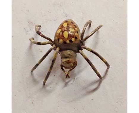 A miniature Austrian cold painted bronze model of an orb spider