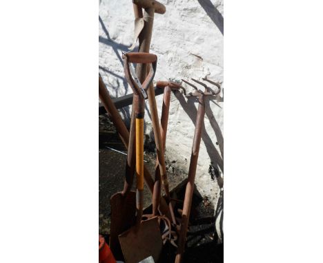 A quantity of garden tools including shovels, forks, etc.