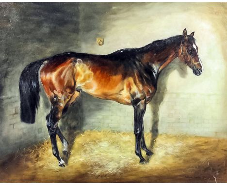 ***Shirley Smith (20th Century) - Oil painting - Portrait of a standing horse in its stable, canvas 15ins x 19ins, signed and