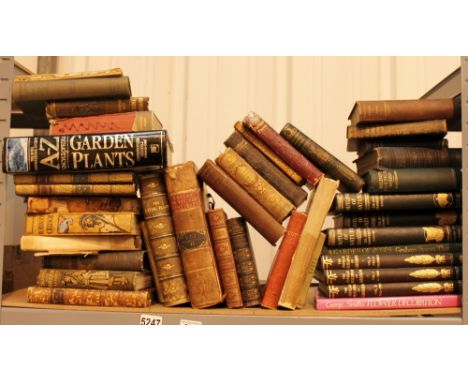 Shelf of books including Antiquarian 