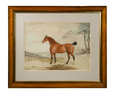 Edwin Cooper (1785-1833) Study of a bay hunter in a landscapesigned and dated 'E Cooper fecit / 1818' (lower centre)watercolo