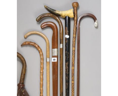 Seven various walking canes; &amp; a shooting stick. 