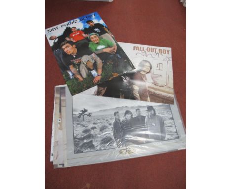 Posters: Various Artists, such as U2, New Found Glory, Fall Out Boy, Rancid, Bob Dylan, Billie Holiday, Elvis Presley, Beyonc