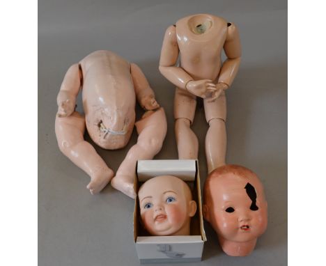 2 Composition doll bodies with 2 seperate bisque heads (one A/F)