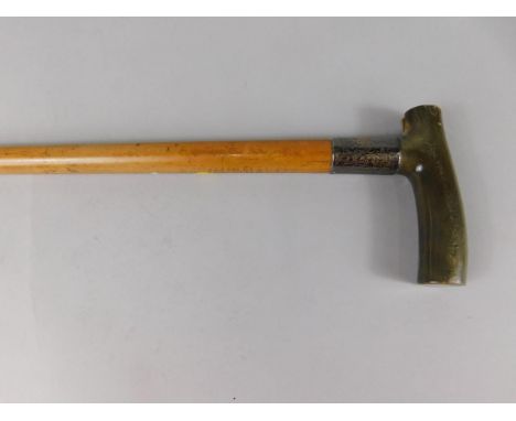 A late 19th/early 20thC malacca walking stick, with rhino horn shaped handle and silver collar, Birmingham assay probably 192