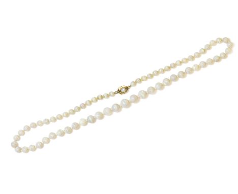 A single row graduated opal bead necklace,with a 9ct gold opal clasp, a single row graduated circular beads, 5 - 9mm in size,