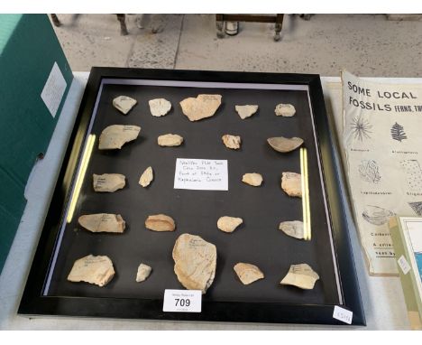 A FRAMED FOSSIL DISPLAY - NEOLITHIC FLINT TOOLS, CIRCA 2000 BC, FOUND IN GREECE 