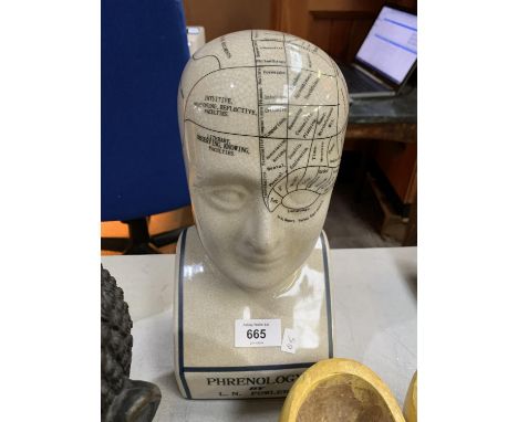 AN L.N FOWLER CERAMIC PHRENOLOGY HEAD 