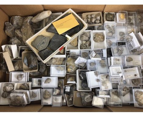 Fossil interest, quantity of fossil shell and other specimens relating to the sea and local coast.many labled formally in the