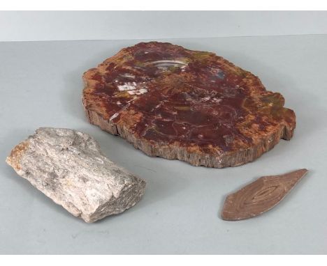 Fossil , Geology interest , Specimens of prehistoric Fossilised Wood, formally in the collection of an eminent local geologis