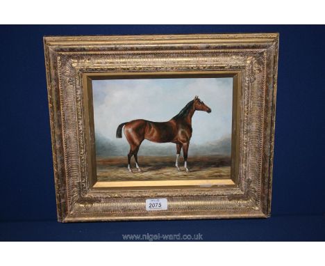 David Ronald, acrylic on board of Horse Portrait in landscape, signed