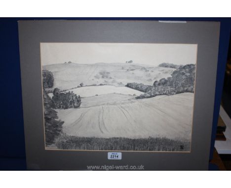 A Pencil Sketch labelled verso ''Barley'' by Rhoda Partridge, monogrammed lower right R.