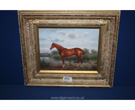 David Ronald, acrylic on board of Horse Portrait in landscape, signed