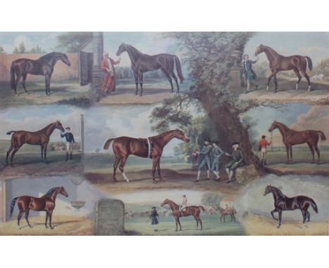After John Axel Richard Beer 'Fathers of the Turf 1683-1916' Portrait colour print of famous English thoroughbred stallions 4
