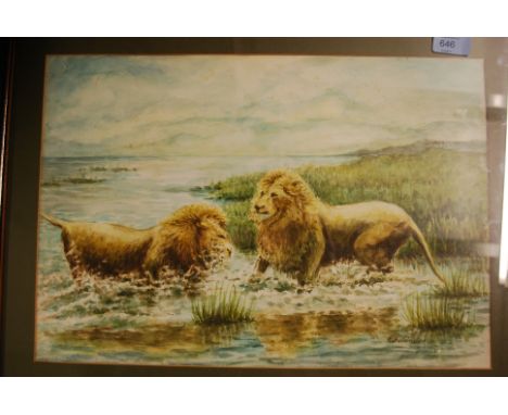 R Feldmeier; watercolour painting of two lions in water. Signed to corner. 