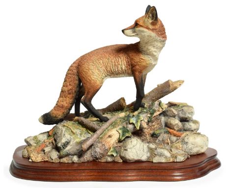 Border Fine Arts 'The Last Look' (Dog Fox), model No. BFA204 by Ray Ayres, limited edition 597/1250, on wood base, with certi