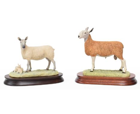 Border Fine Arts 'Blue Faced Leicester Ewe and Lambs', model No. L31, limited edition 61/850, and 'Blue Faced Leicester Tup',